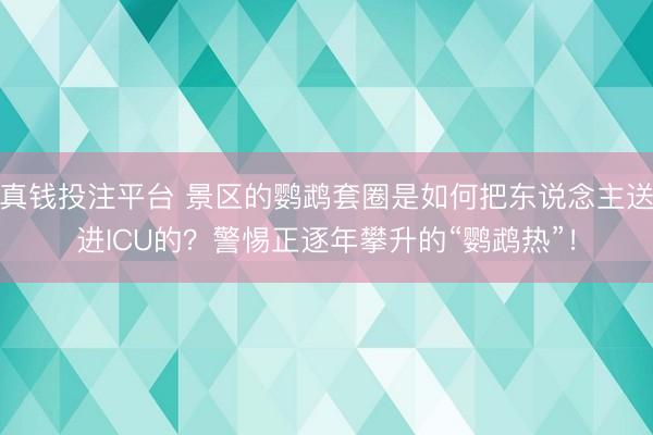 真钱投注平台 景区的鹦鹉套圈是如何把东说念主送进ICU的？警惕正逐年攀升的“鹦鹉热”！