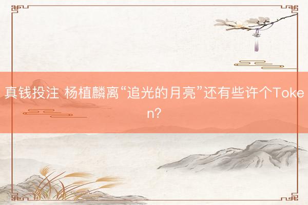 真钱投注 杨植麟离“追光的月亮”还有些许个Token？